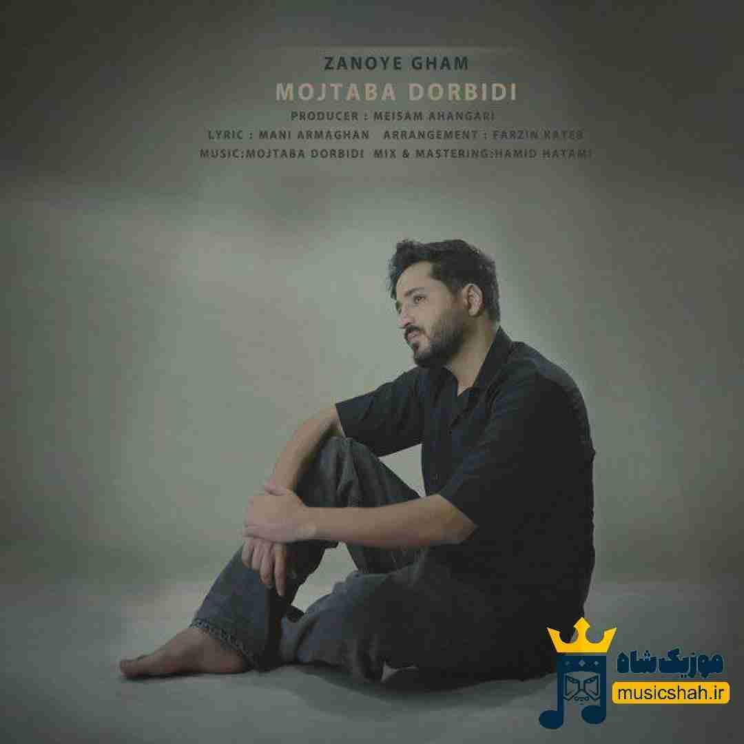 مجتبی دربیدی زانوی غم