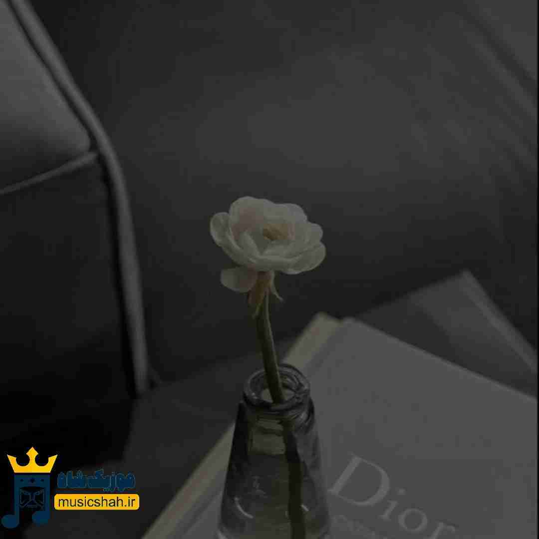 رفتی نزدی حرفی من موندمو بد مستی