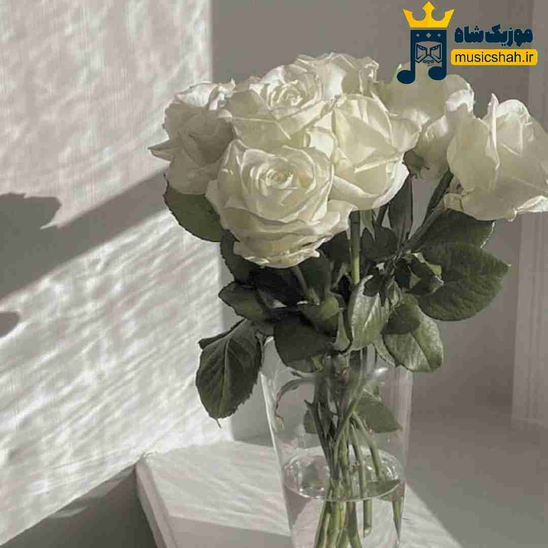 فاطمه مهلبان خداحافظ