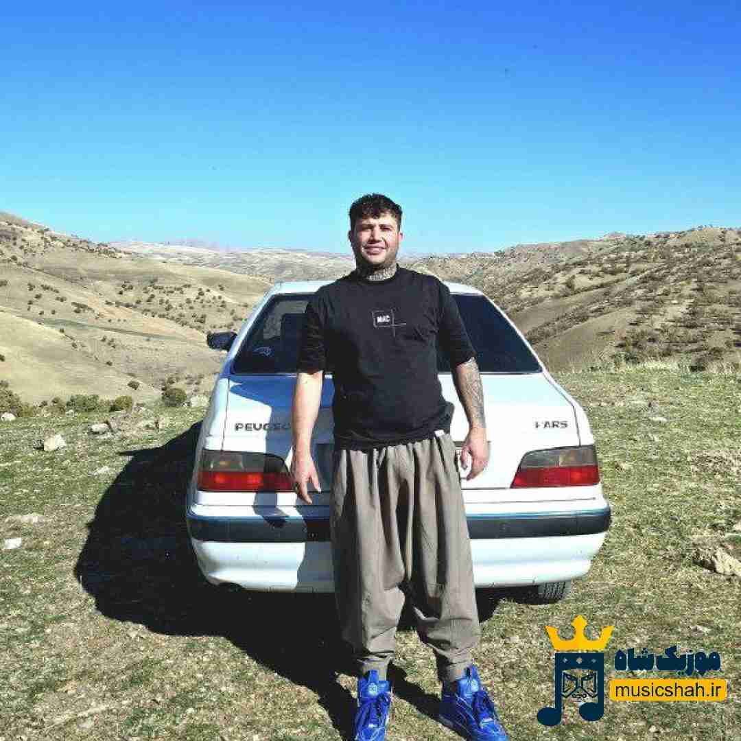 علی احمدیانی سرو صدای عروسی شه هل هل و هل آقازاده