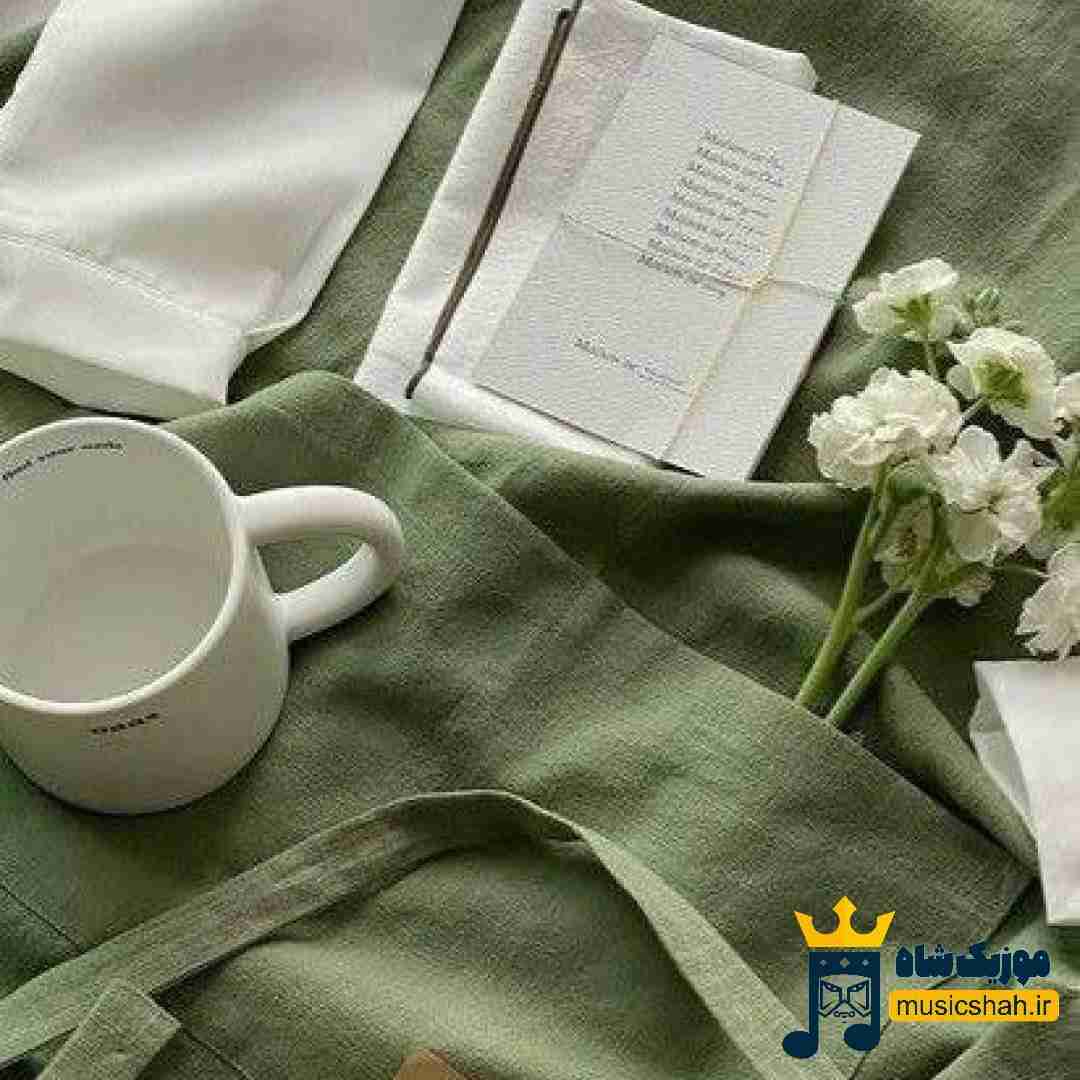 فاطمه مهلبان تا دیوونه تر نشدم برگرد برگرد برگرد
