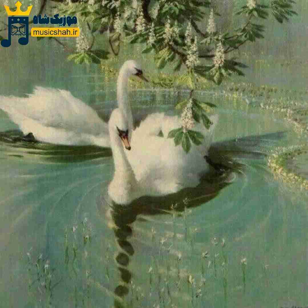 تخم سگ یار ای یار کوله حروم اوف ای یار
