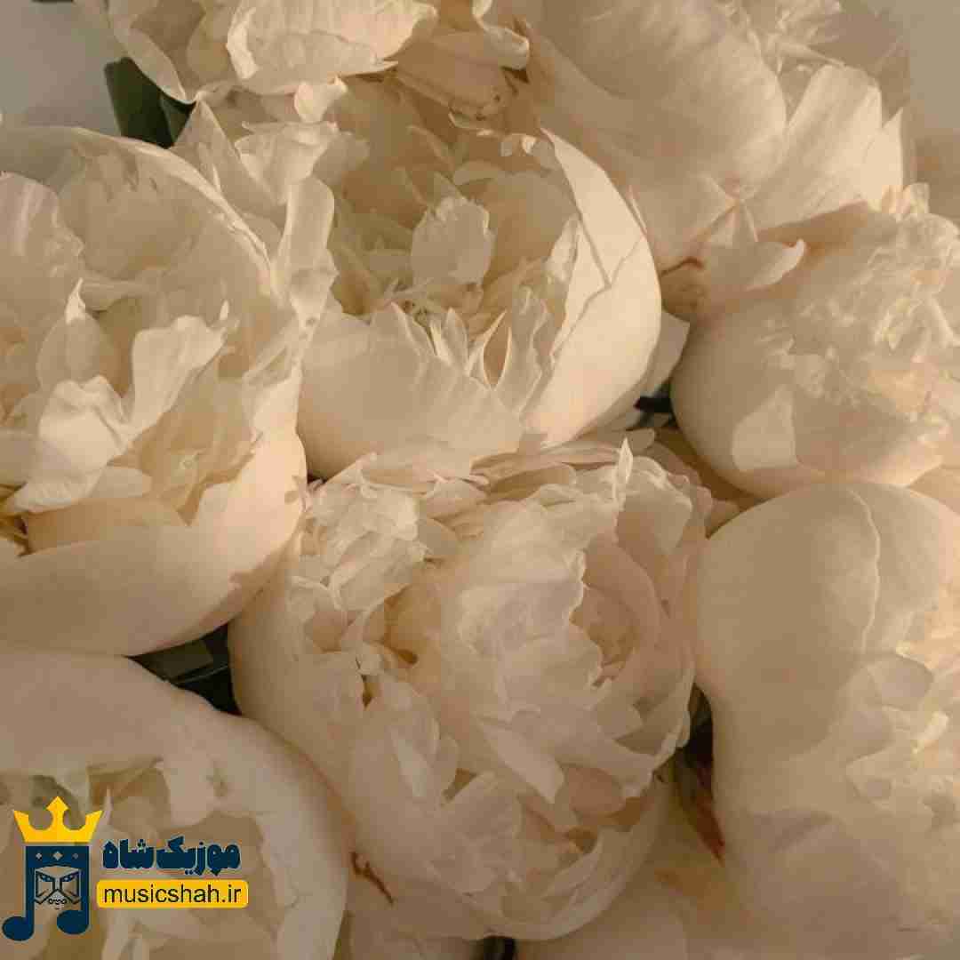 روح طلایی درخشیدی رویا این آسمون آبی