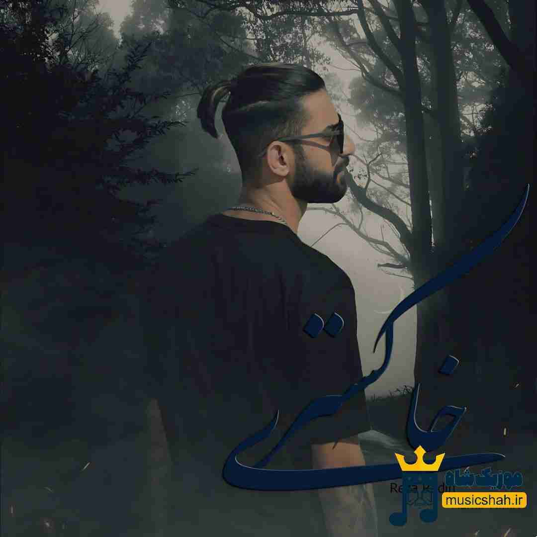 رضا رادین خاکستری