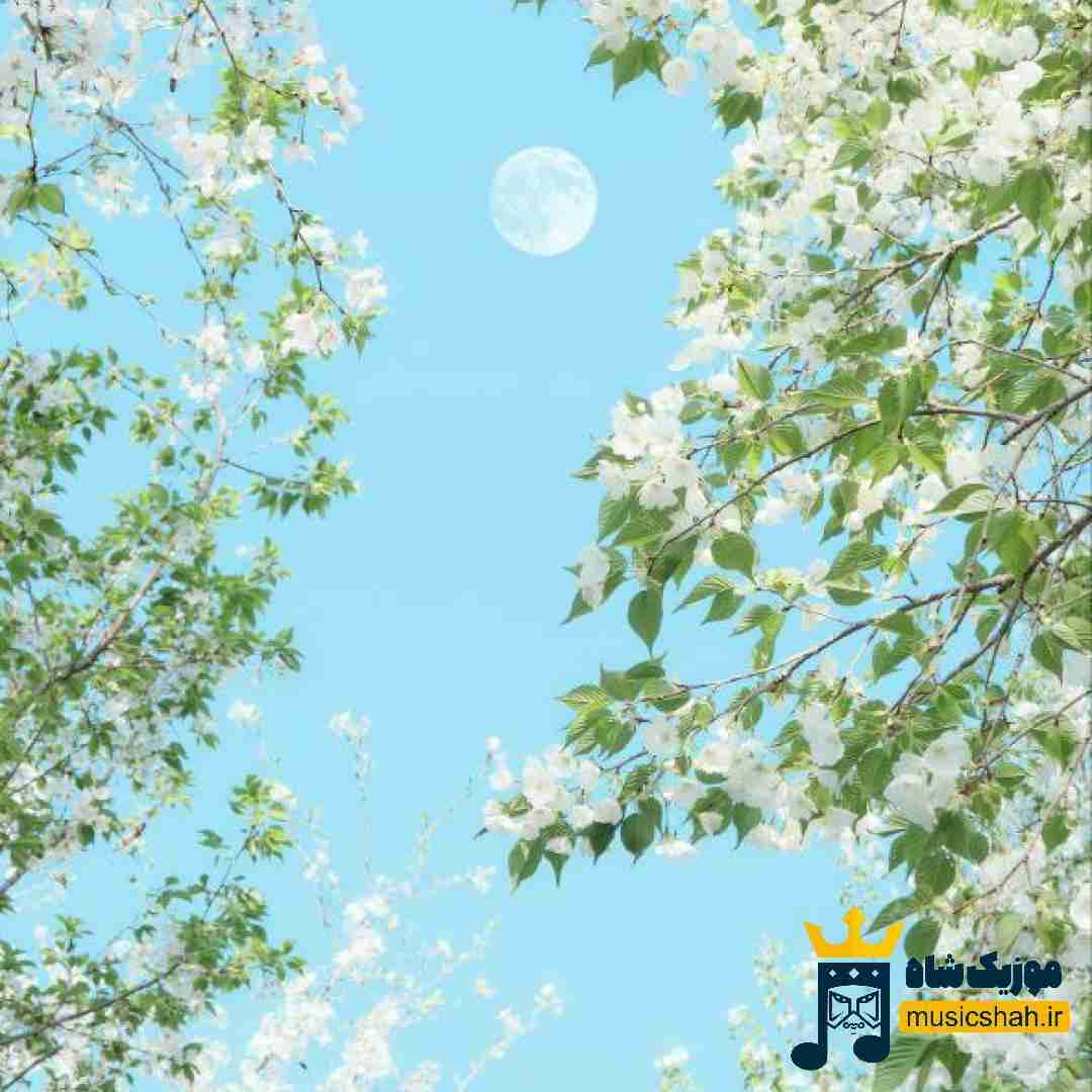 فاطمه عطایی کهو تیل بزنن یاره محله ره