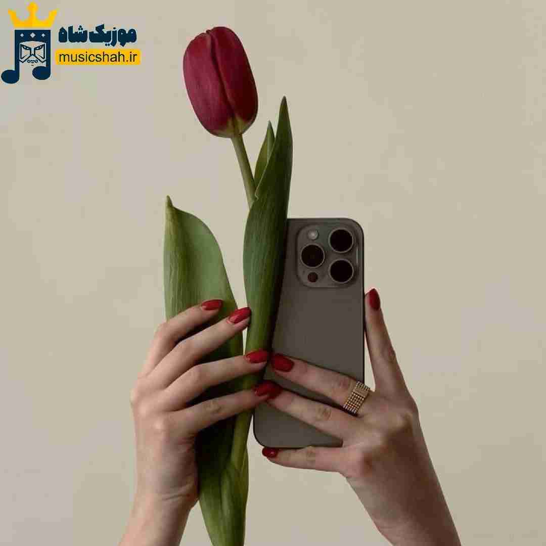  گوشیم تو شارژه جز همه وقتا که هست روی سایلنت