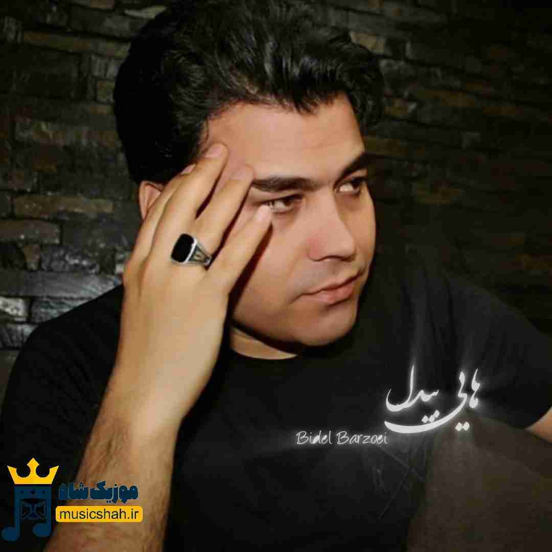 بیدل برزویی هایی بیدل