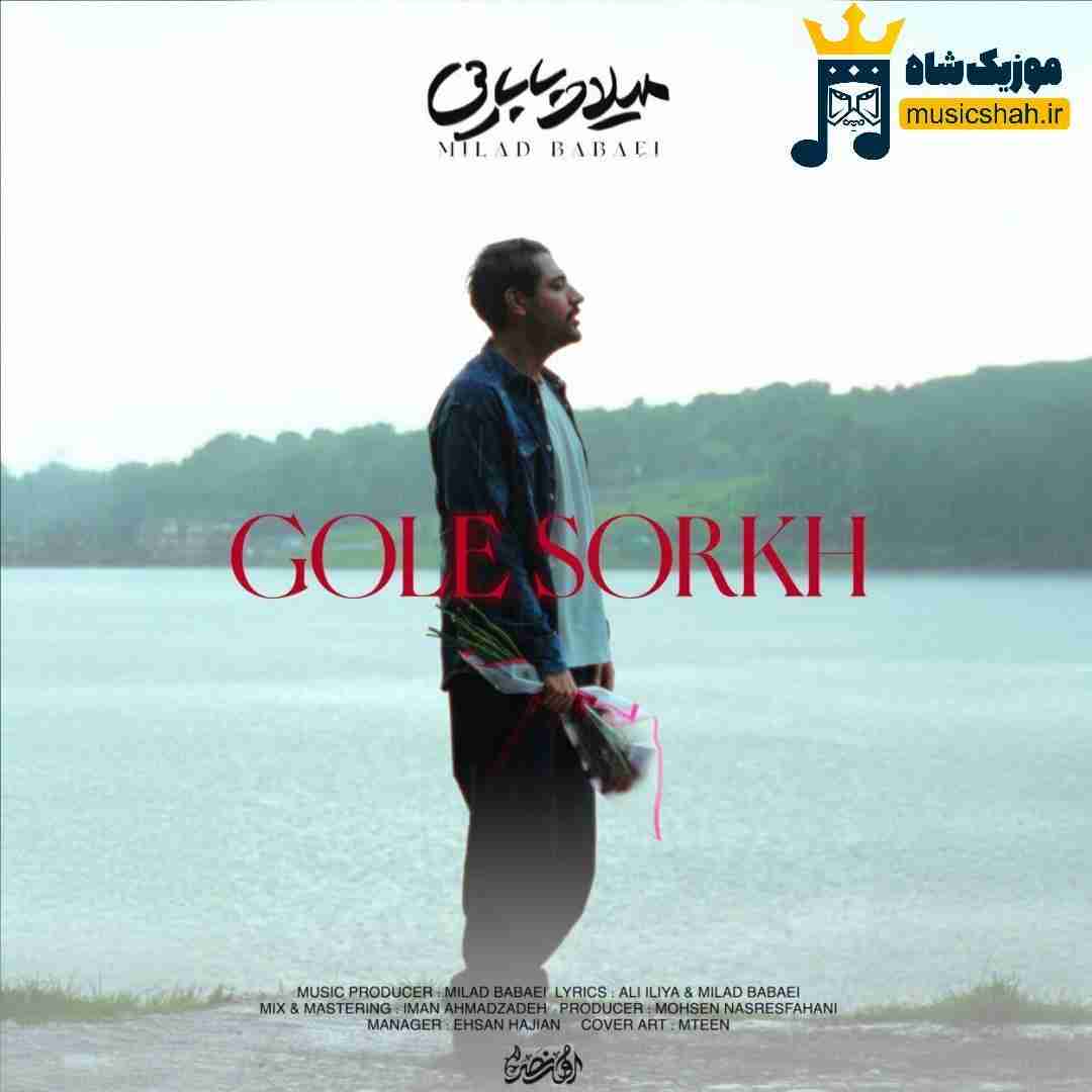 میلاد بابایی گل سرخ