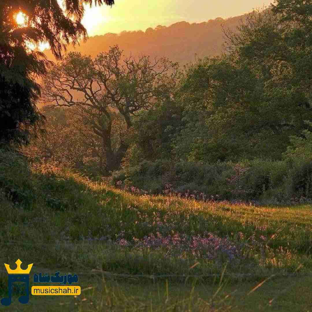 زیبا رحیمی جنگ