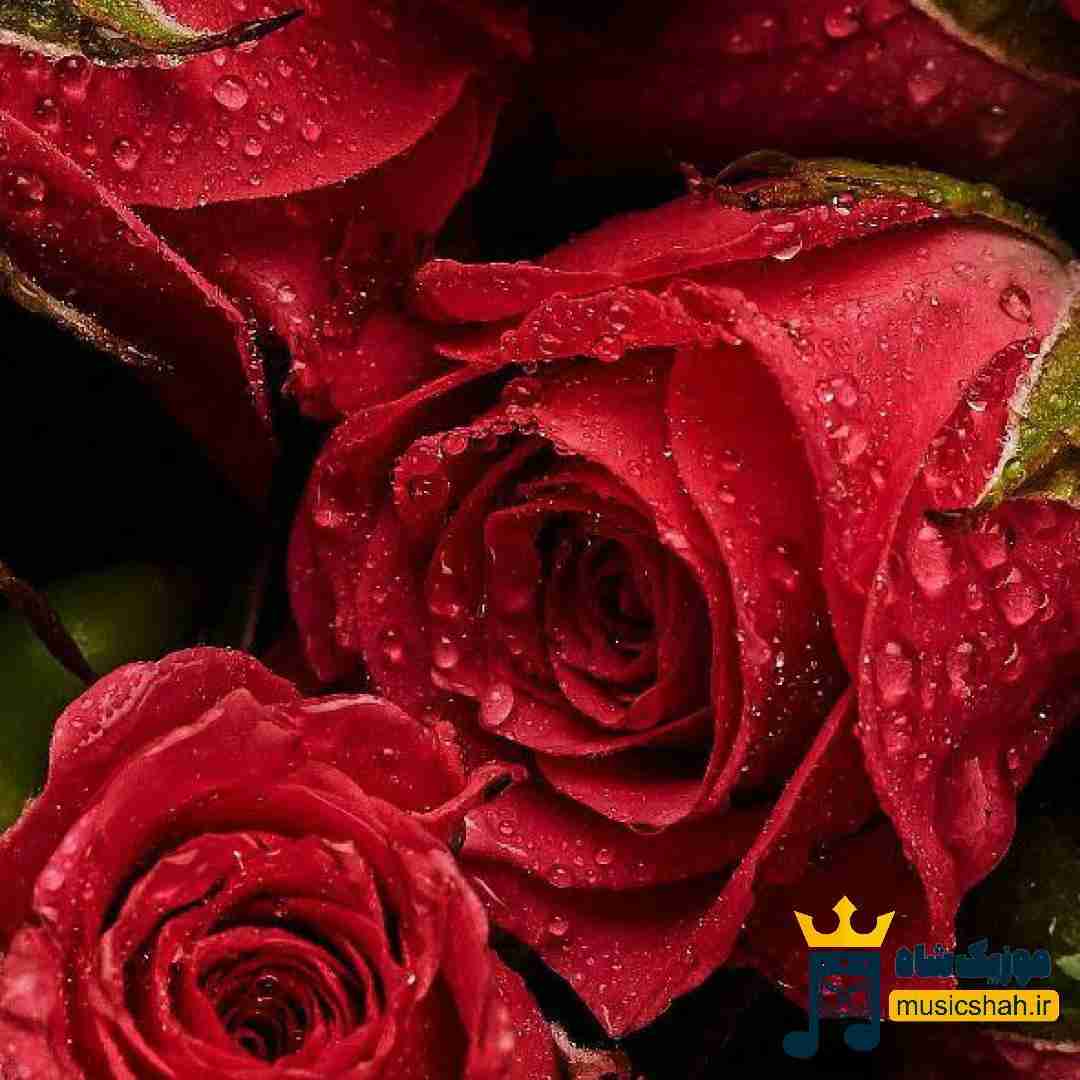 فاطمه مهلبان صبر و سکوت