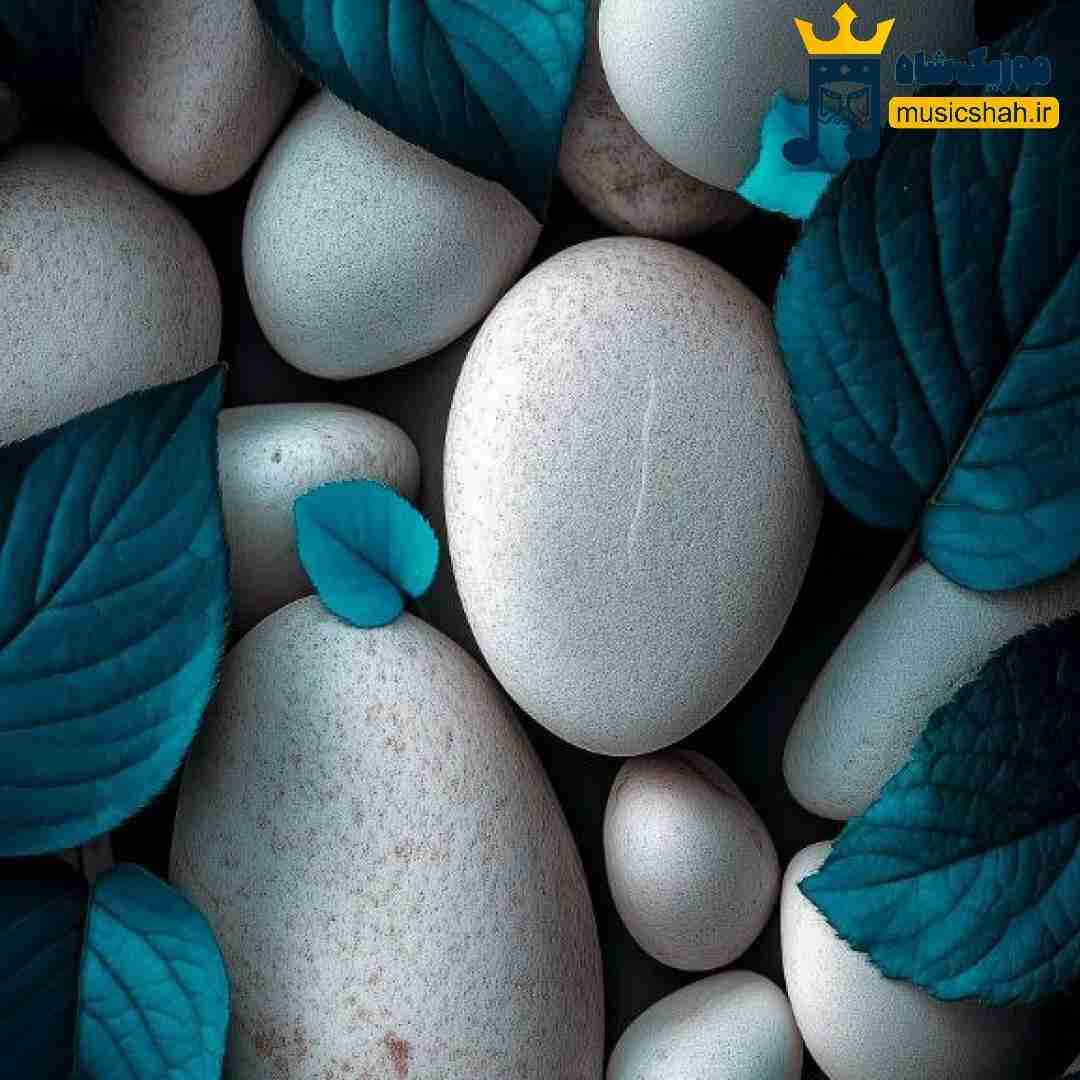 خوش دوربوگون کیفیم ساقی دولدور پیکیم