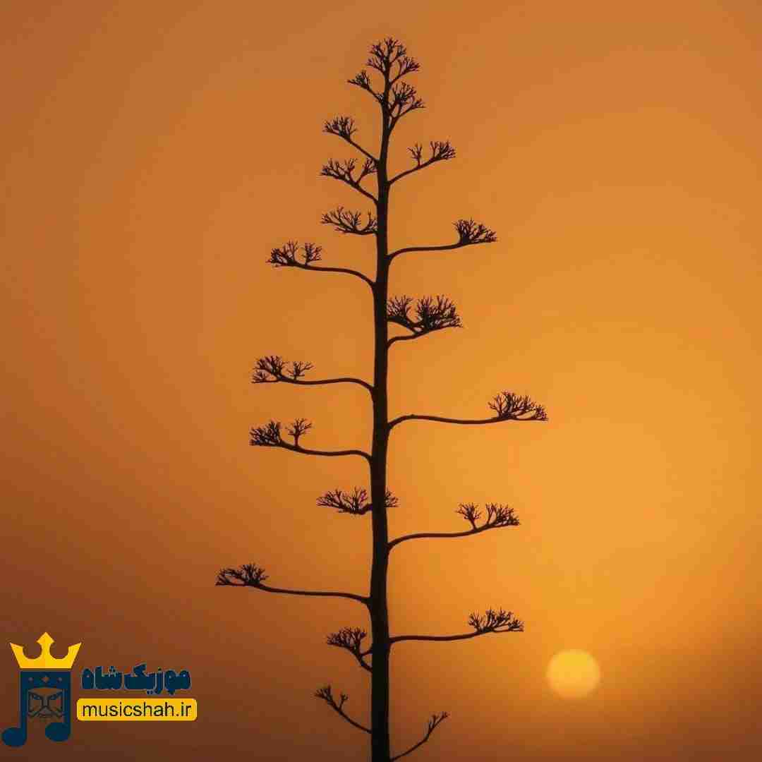  بعید میدونم دیگه مثل تو ببینه زمین من همه دنیارو بگردم