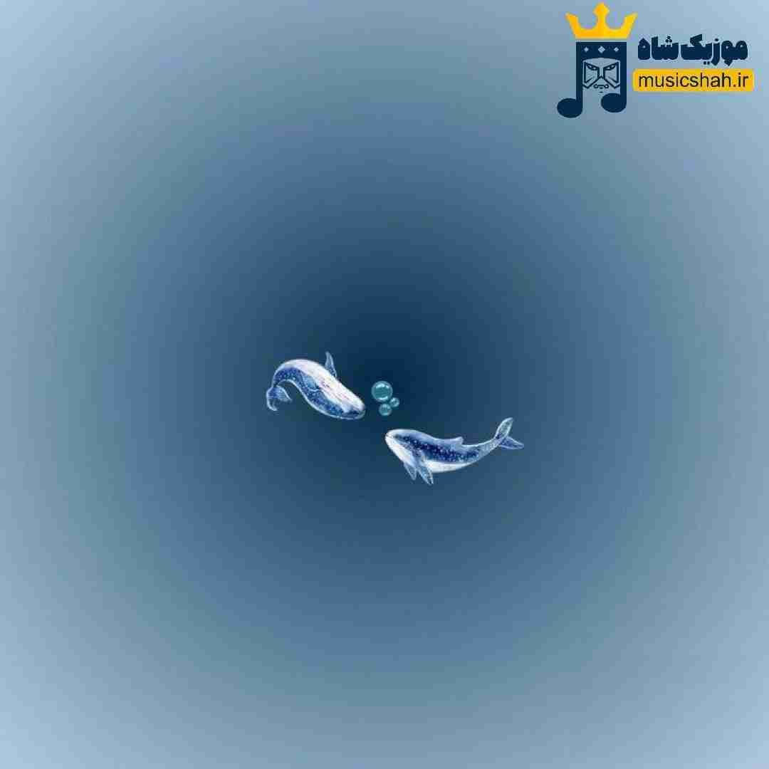  خدایی بگو کی مثل من واسه تو از دارو ندارش زده
