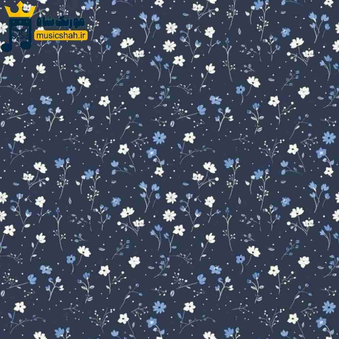 این روزا خیلی دلم خونه میخواد یه آغوش یه گرمای شونه