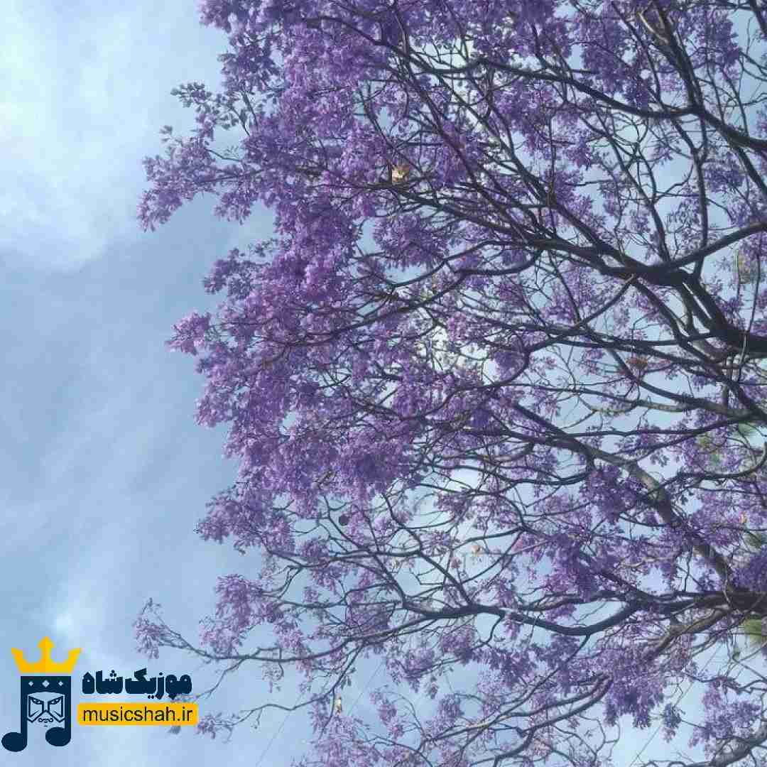 یکی از این شبا بهت میدن خبر مرگمو بگو هنوزم