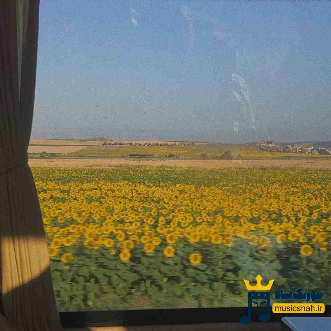 آواره نصیب من آواره خوک های درد جریان مرگ