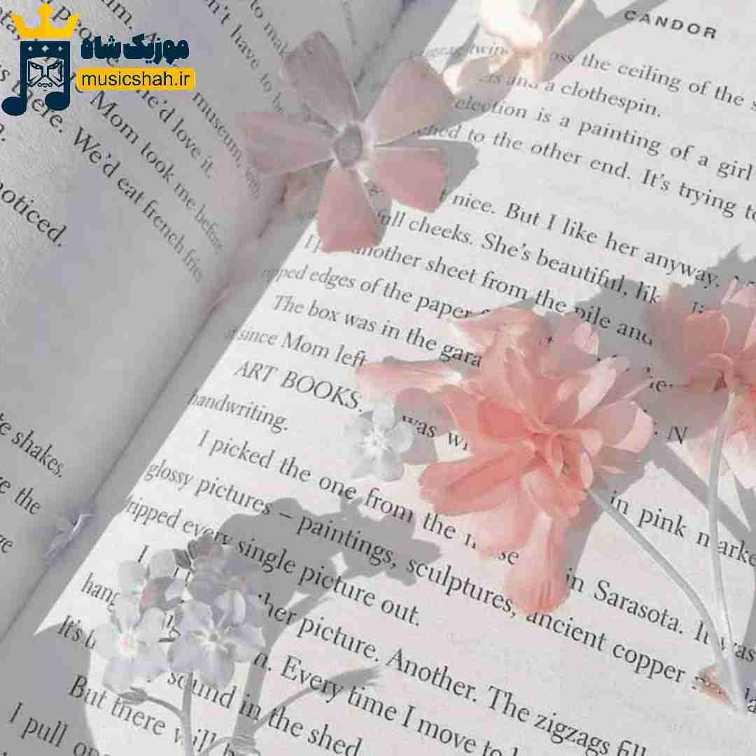 استوری میزاری عاشق چه کمیابه نمیبینی منو که نفست