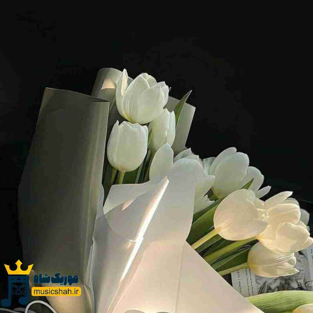 خوشگل ترین خوشگل دنیایی تو اگه اینو خوب بفهمی