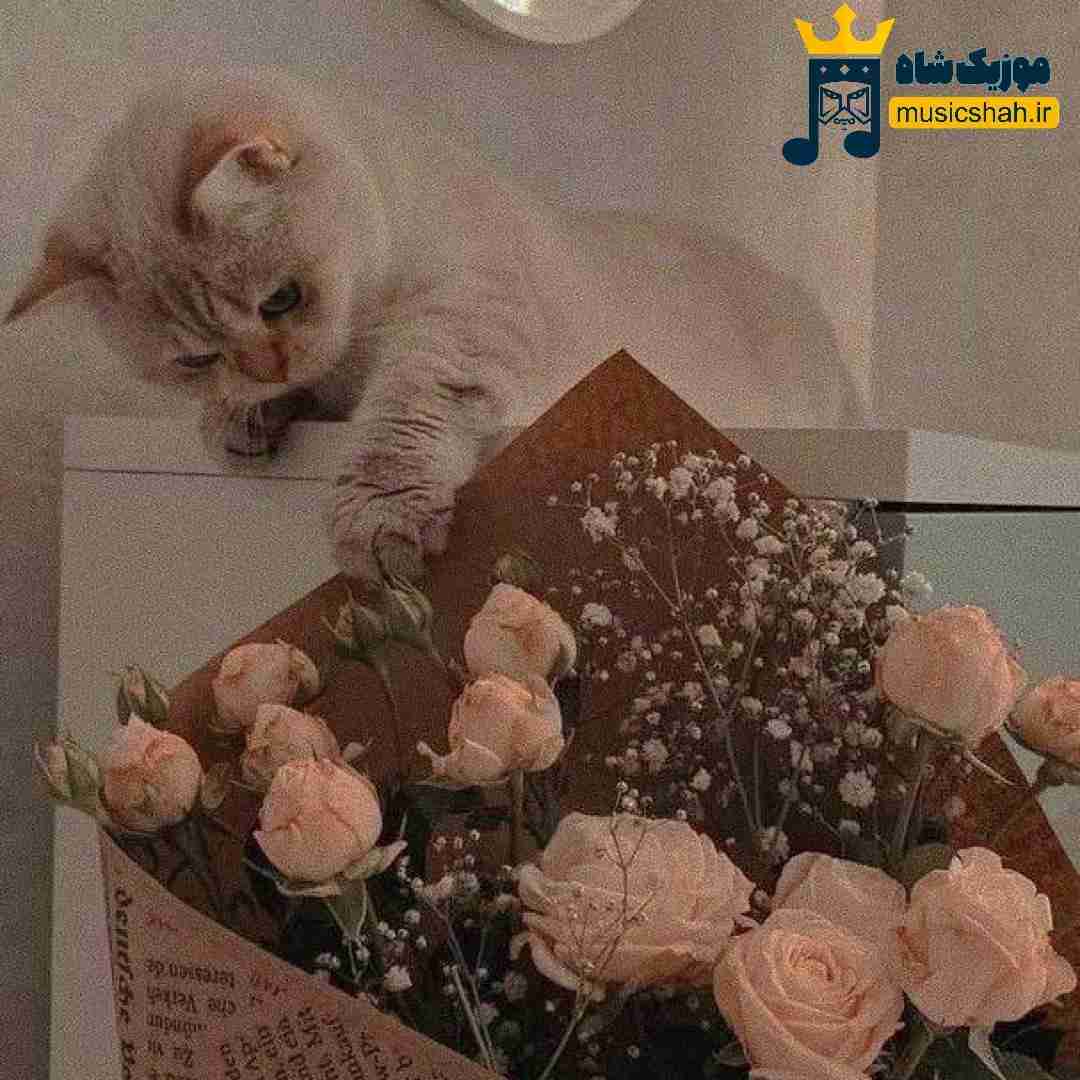 منو چه به حال خوب چه سگ دویی که نزدم واسه پول