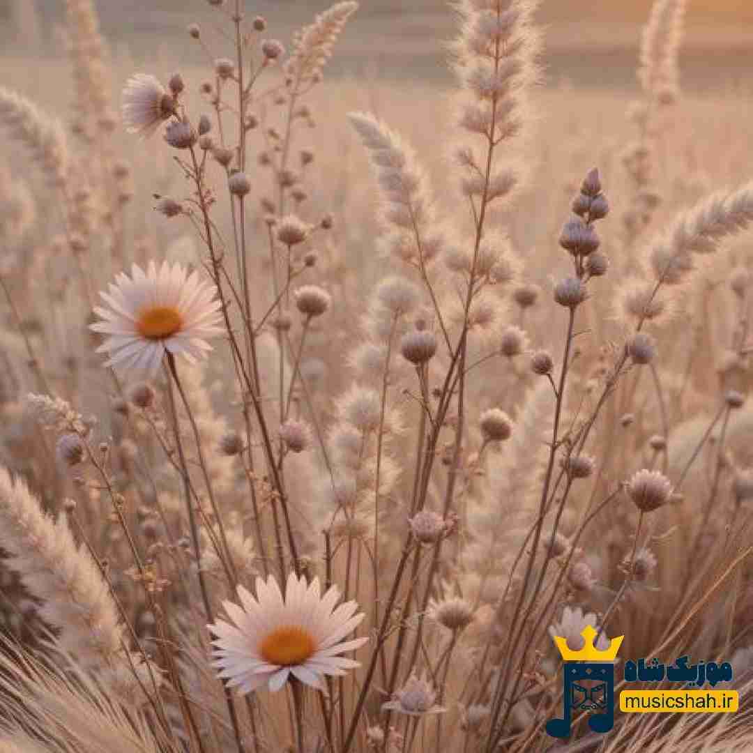 به رفتنی نمیگم بمون اگه قرارع برگرده هم برنگرده (میکس ترکی)