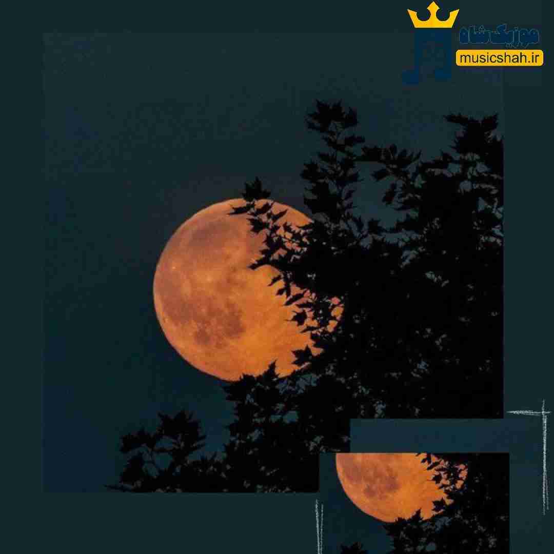 کاتانا چیریکی کت ها باز سی دی ای سوزوکی