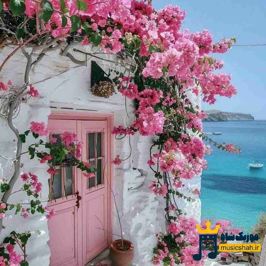 میکنم آرزو مرگ هرشب چپ سینم سنگه