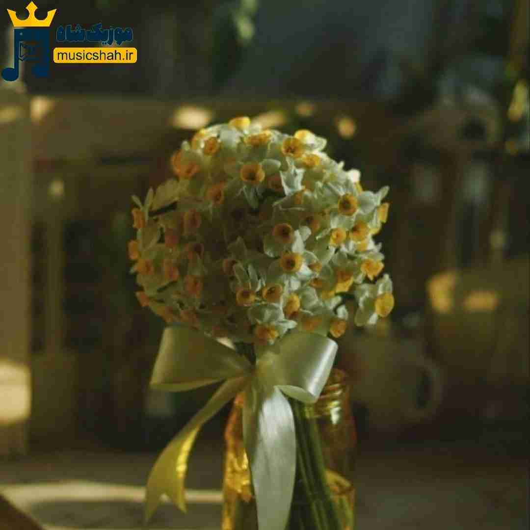  تو تنهاییام اونی که واسم میمرد تو جمع تنهام گذاشت