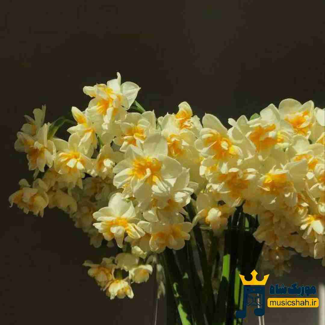  بیرون از هر نوع انجماد با اشتیاق آغوش (میکس اینستا)