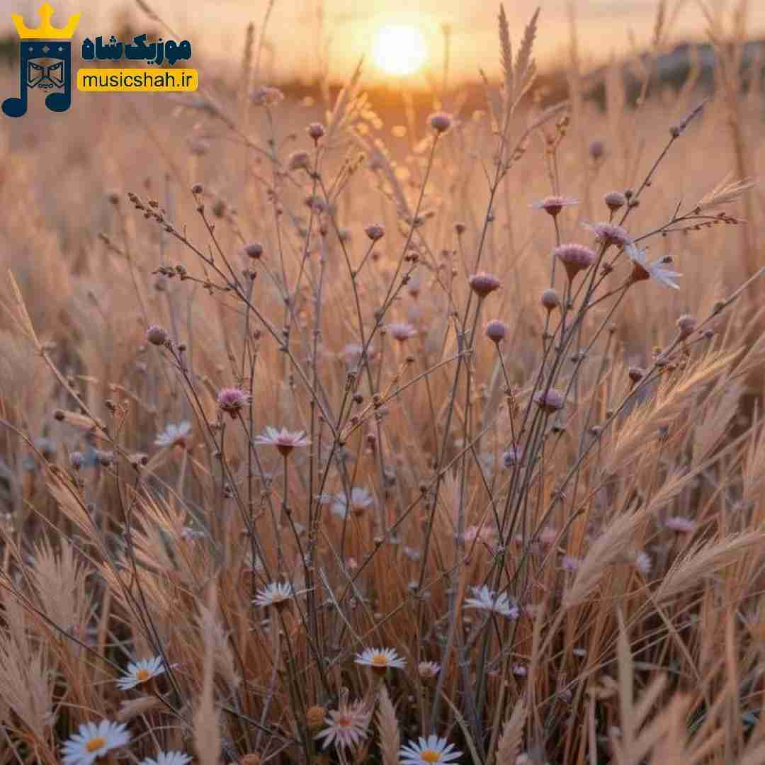 ماهک یار جونی