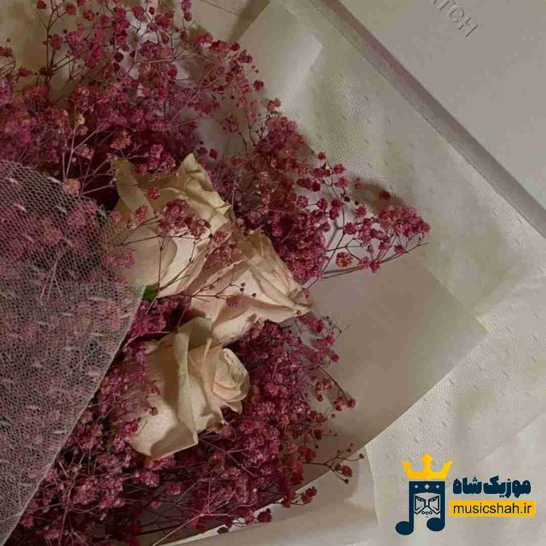 هیچکدوم بهم راستشو نگفتید نه دیگه گل خوبم میکنه
