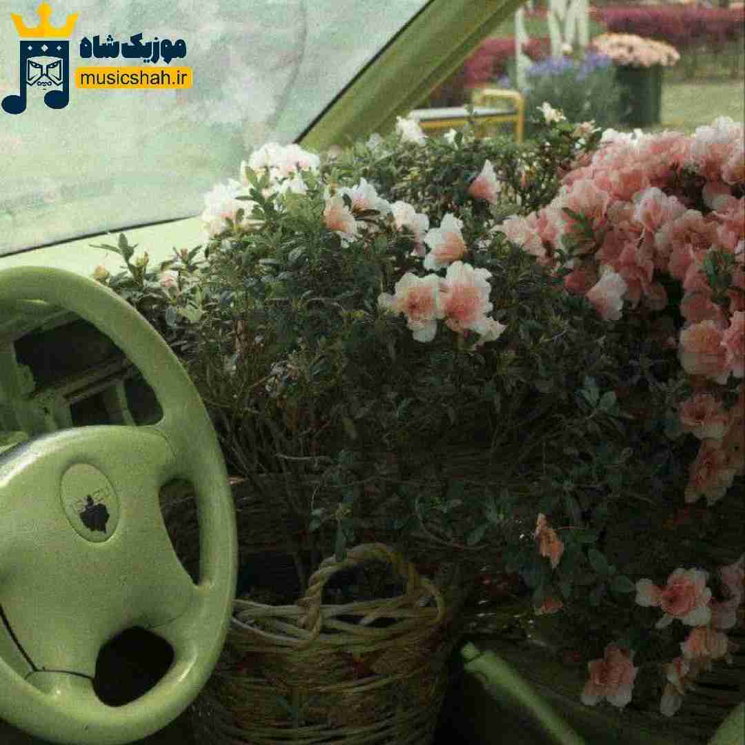 هرچی که میخوام بهم میدی چشمات مشکیه ال اس دی نی