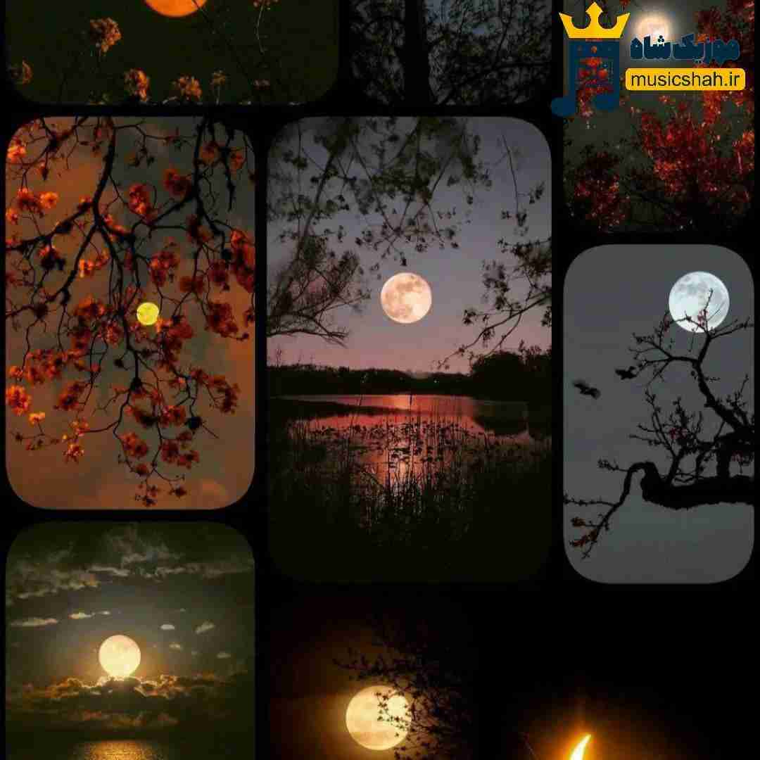 فاطمه عطایی برار