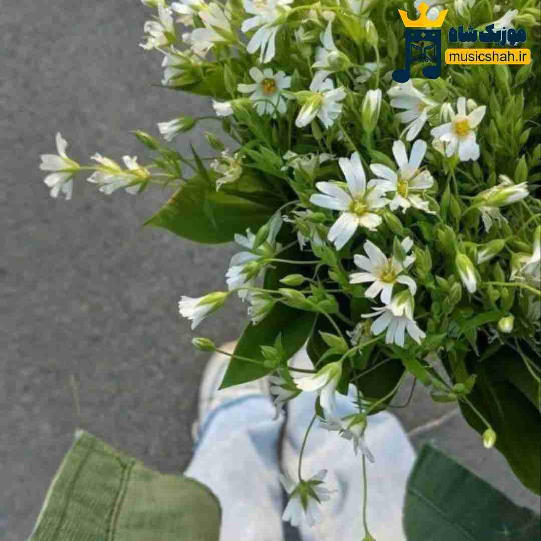 آخرین باری که دادم چنس بت کم مونده بود تو قلبم