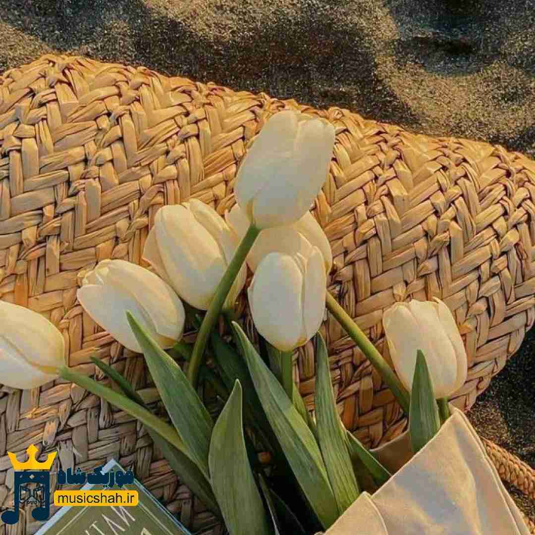 ای کاش که من دو نفر بودم یکی پیش مامان میموند
