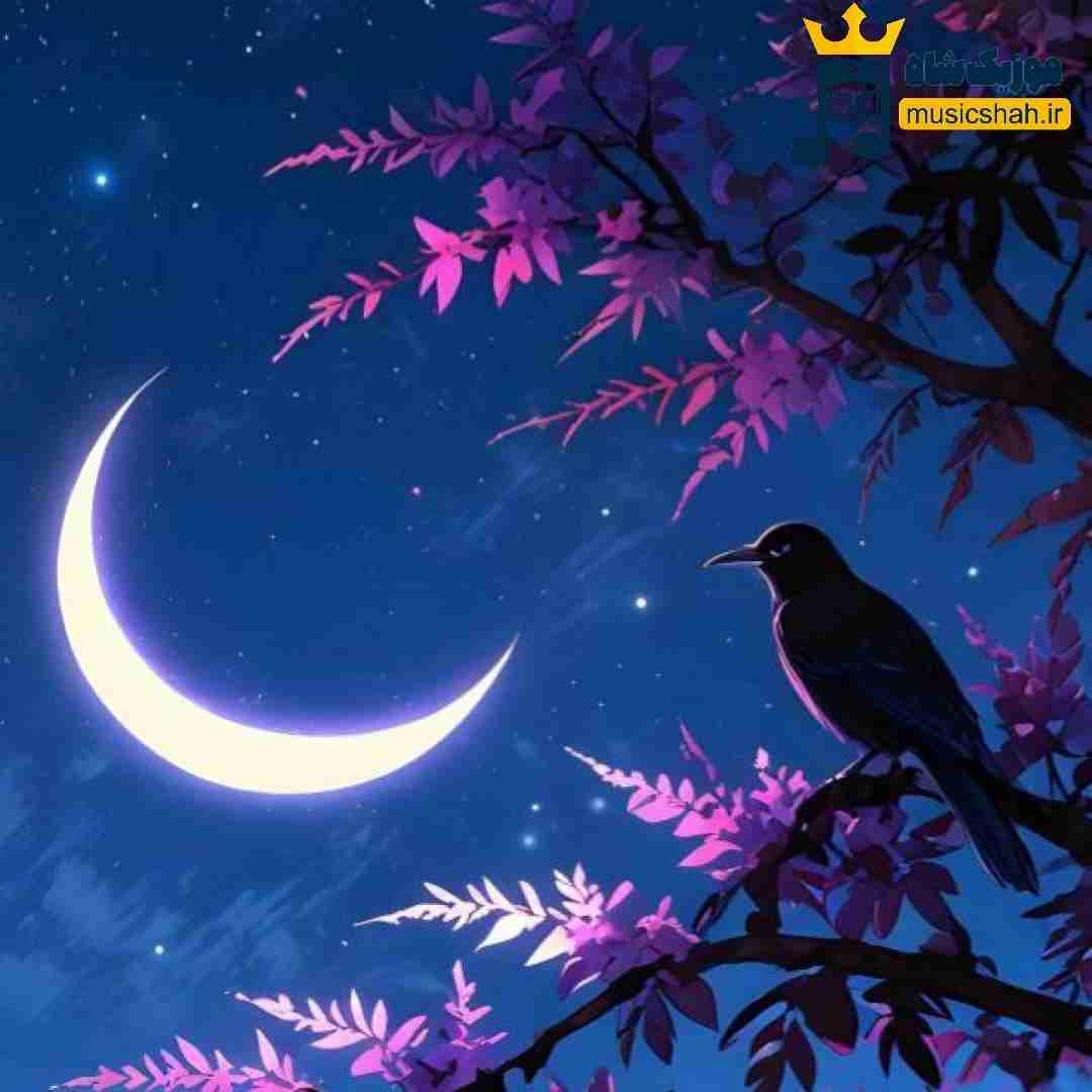  تو سرم پره ایده ولی خریدار اینجا نی