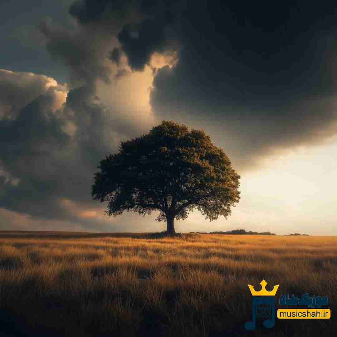 من پیش خودم فکر میکردم سهم من بشی گذاشتو رفت