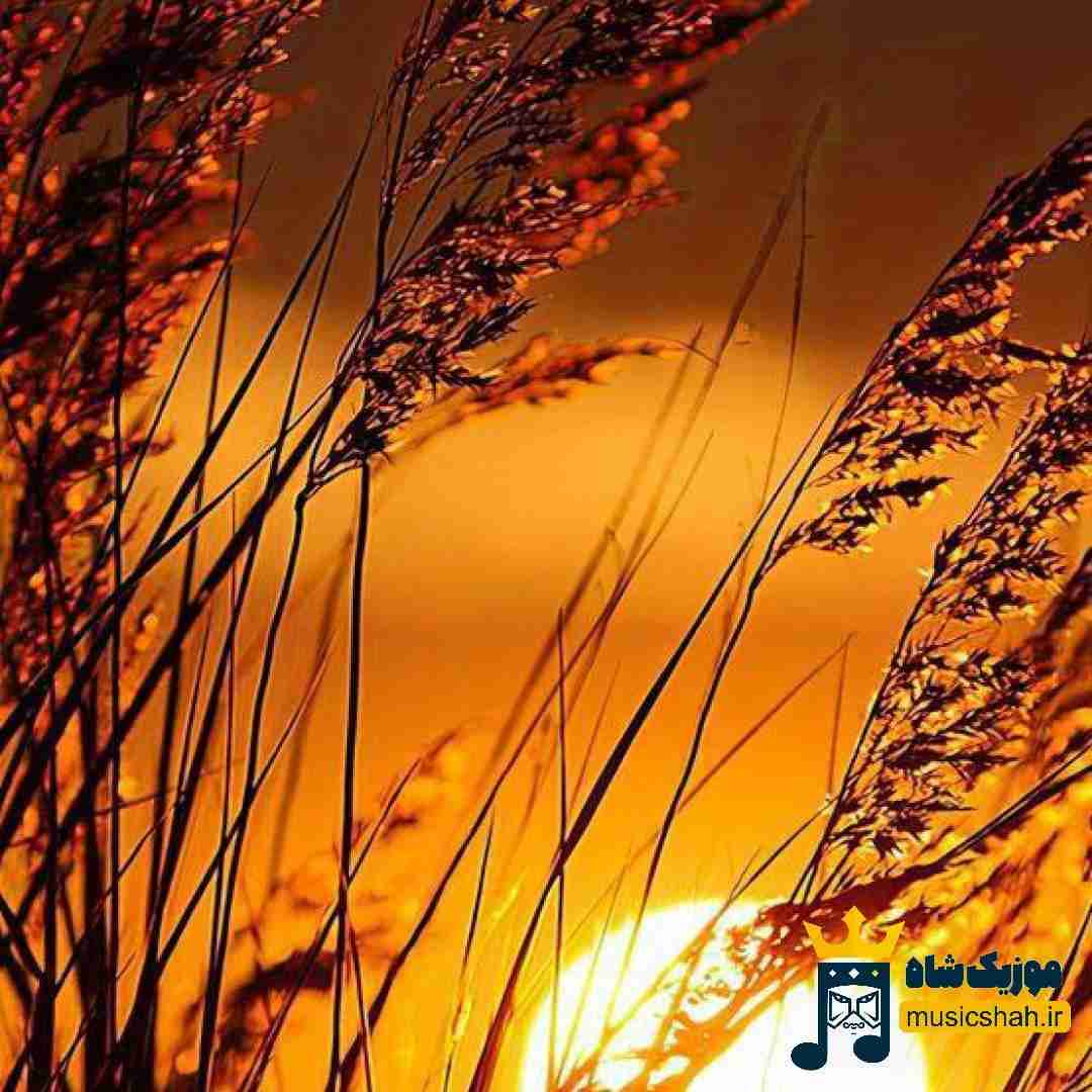 ولت کردم نگی حیفه این دفعه نری بیرون نشی هی چت