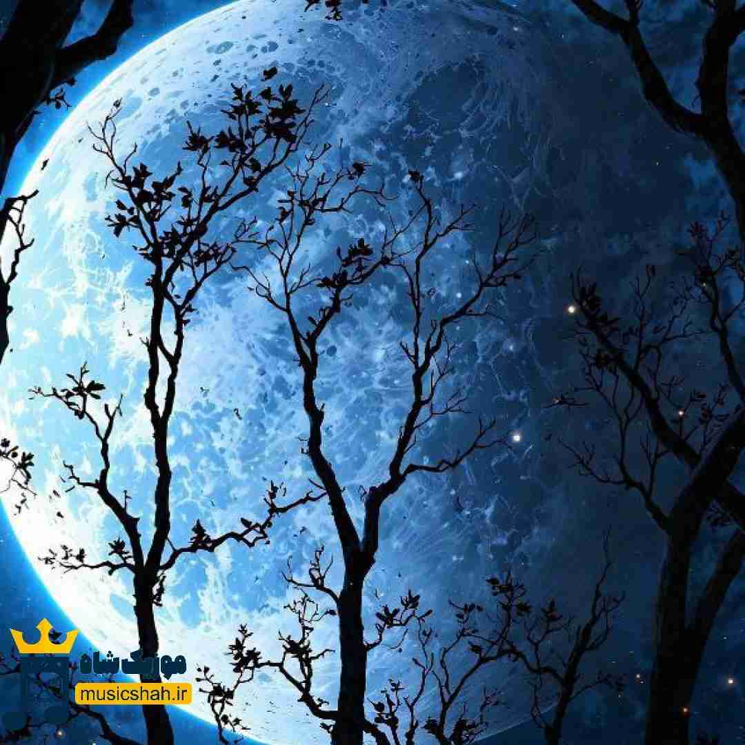 بزار کل مارکت بهم بگه مثل ناظمم با اینا