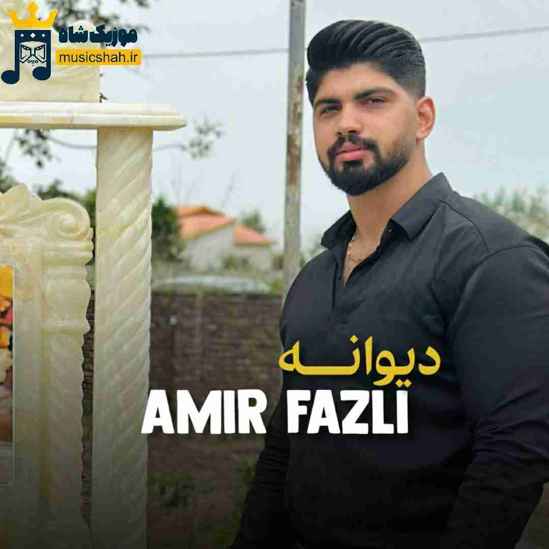 امیر فضلی دیوانه