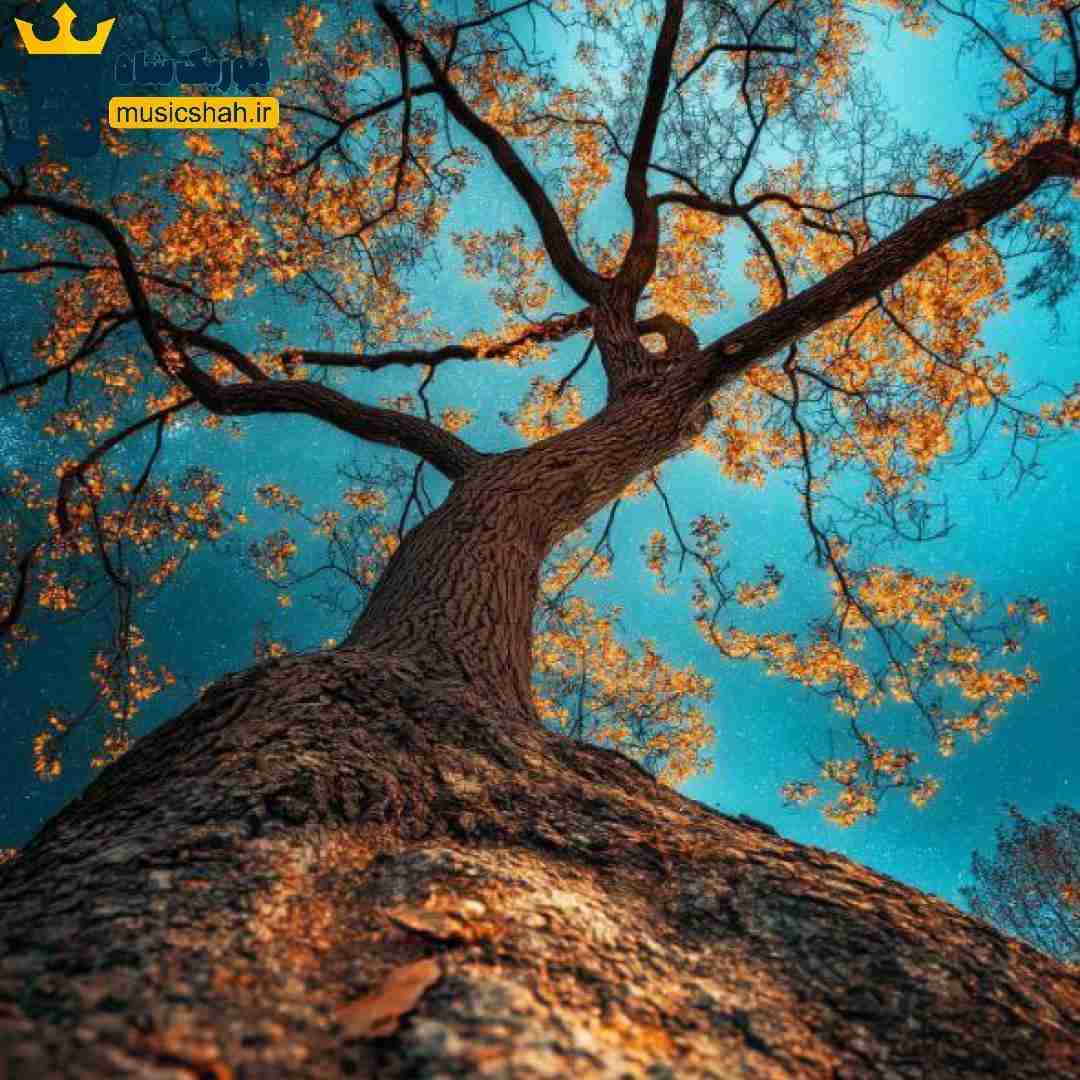 دیدی پریده ازم بوت دیدی چقد عوضیا داشتن