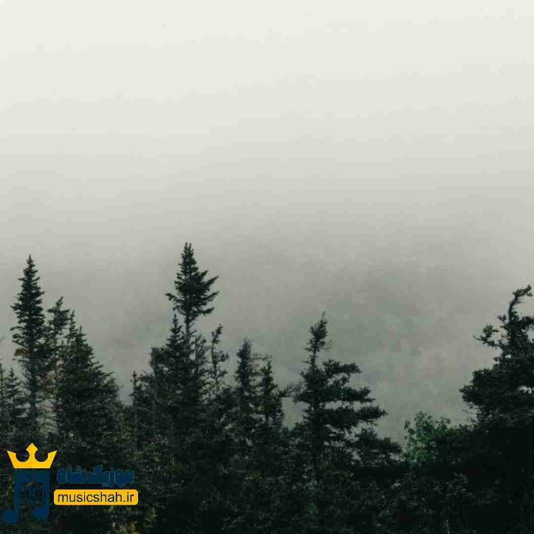 کشیدی زیر پای کسی که تورو از زمین بلندت کرد