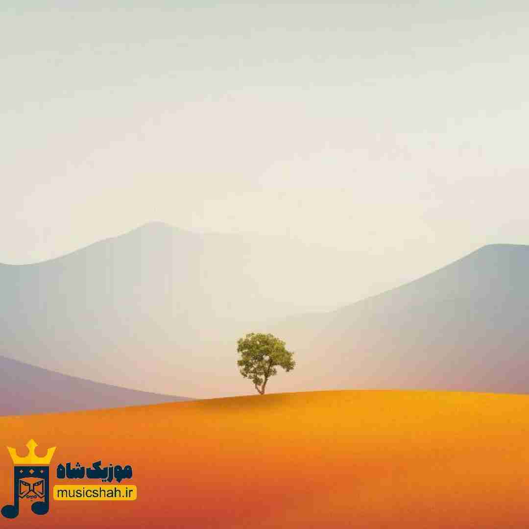 داد زدم برگرد صدات کردم هر دفعه خورد به دیوار