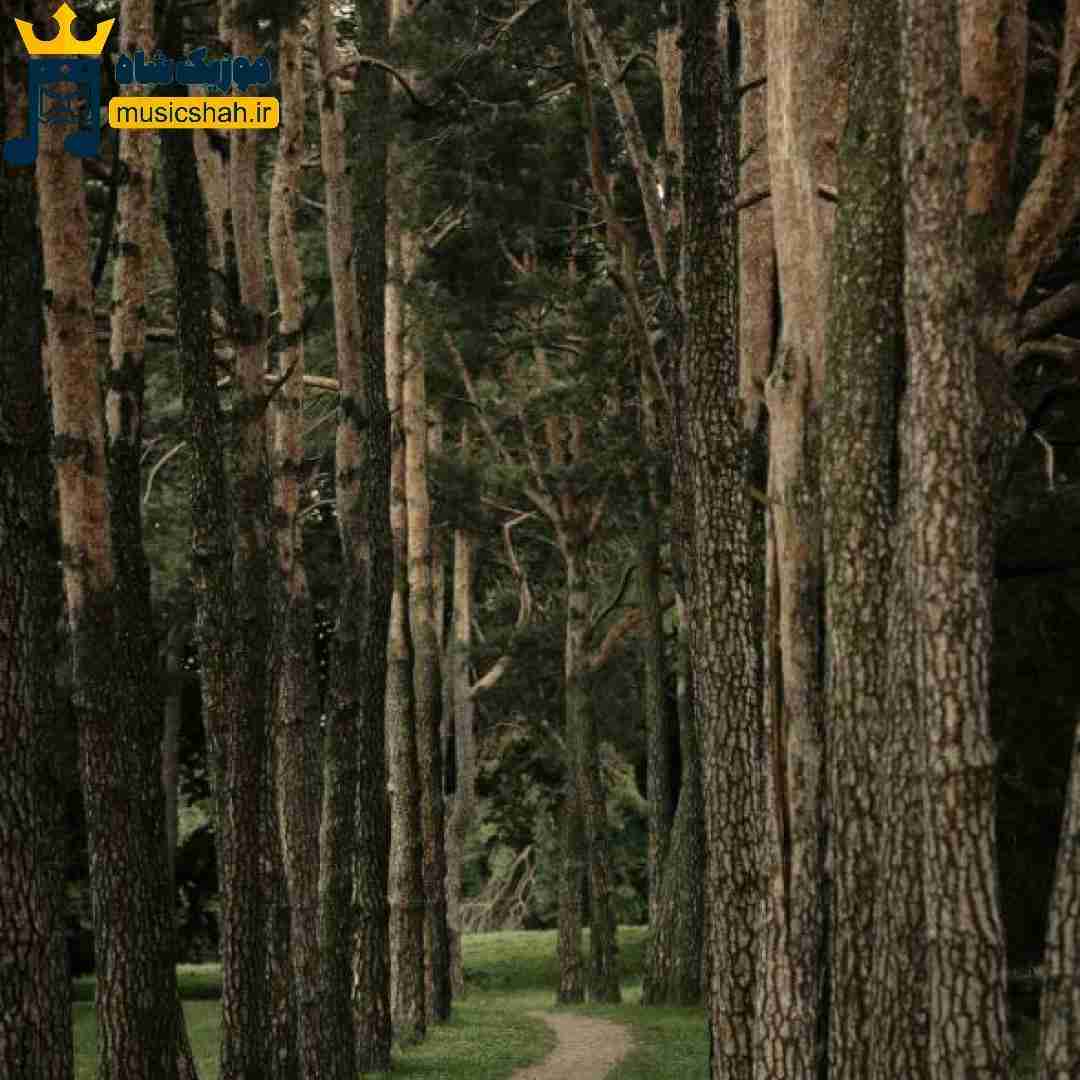از تاریکی رسیدیم صبح روشن اینا خوبتم بخوان