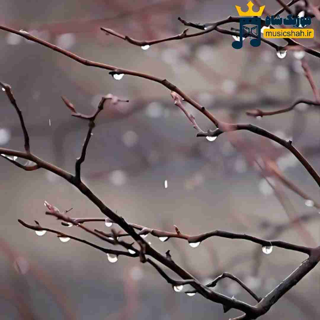 اعتماد کردم به رفیق خانواده قلبم دل