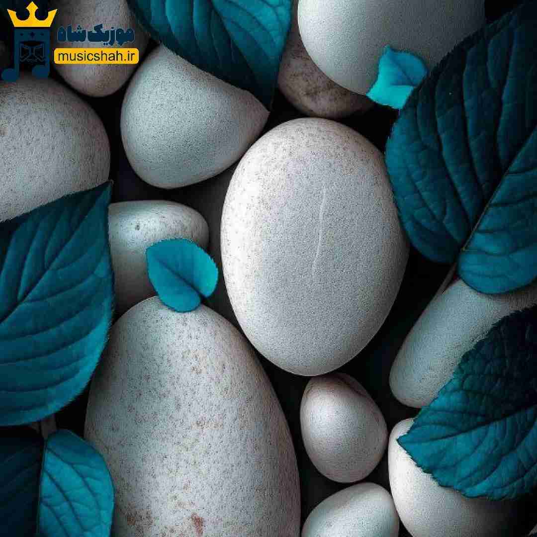 گوه میخوره کسی از بالا بهم نگاه کنه با هر بهونه