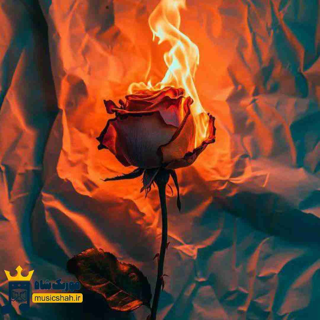 نمیبینیم با شوق قدیمام دیگه دلم گرم نیست