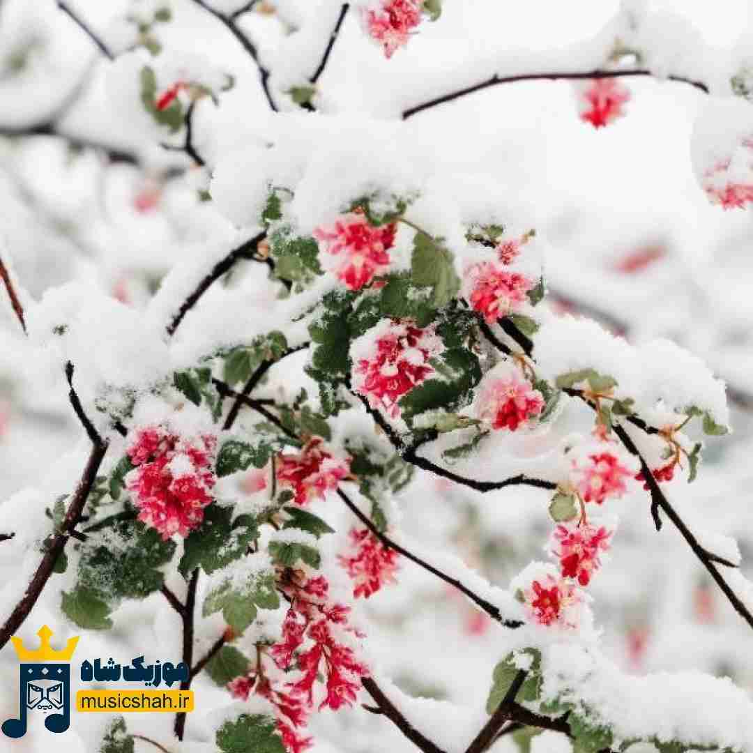 انگار شده بودی طلسم طلسم یهویی رفتی منو