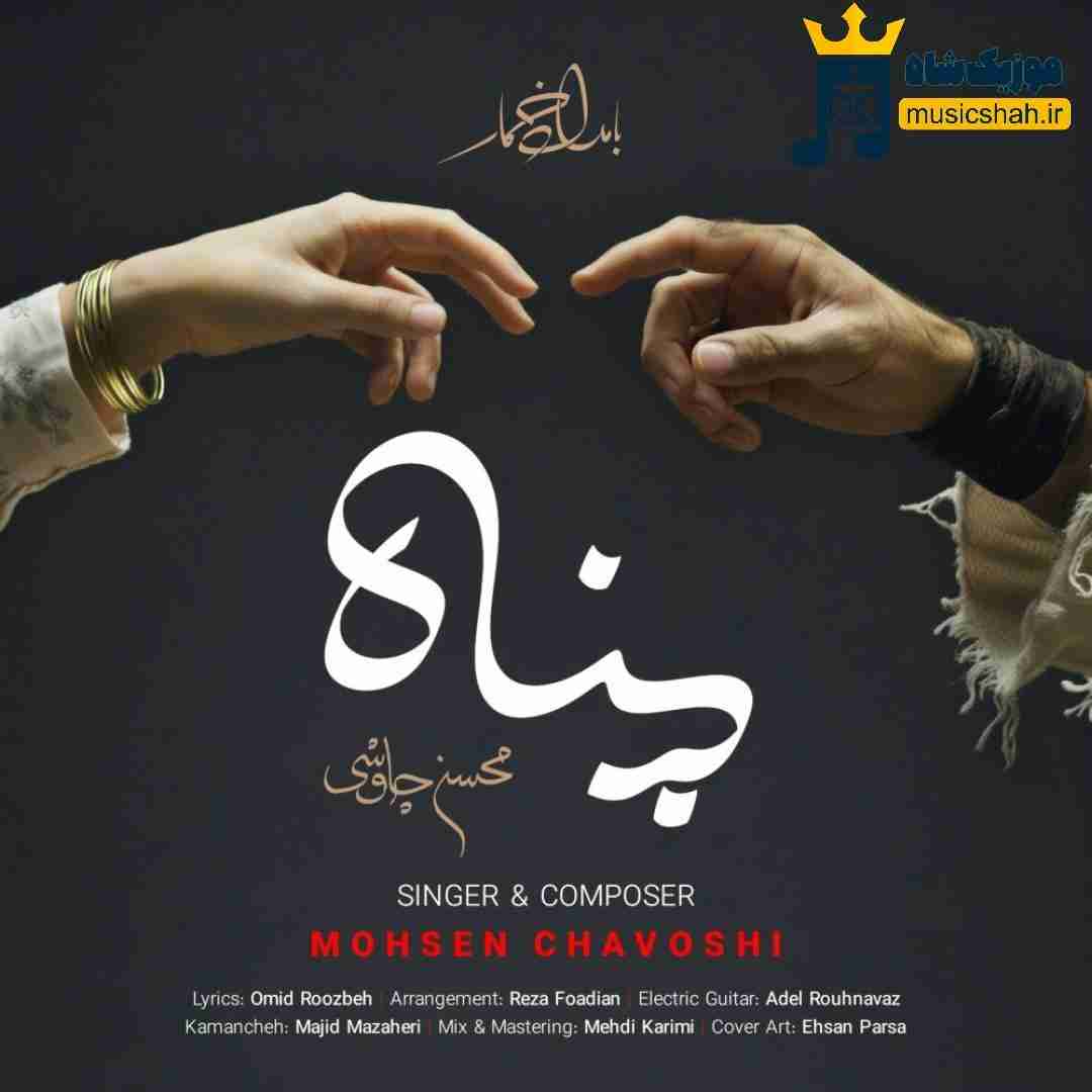 محسن چاوشی پناه