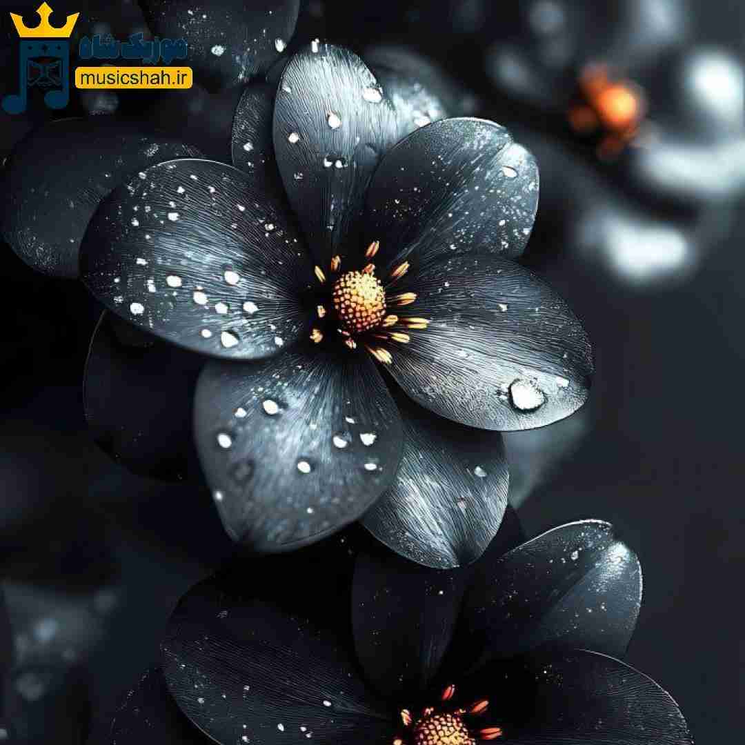 میگن اگه هرسال تولدت هی بشی غمگین چون شبه مرگته