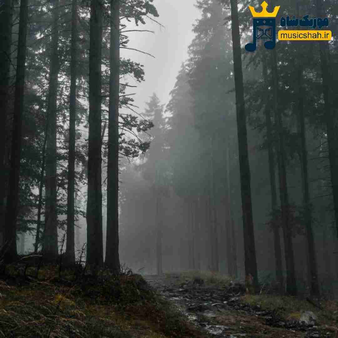  دروغ نگم ماه منی لق بقیه ما مال همیم